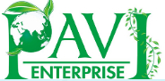 Pavi Enterprise 企业标识
